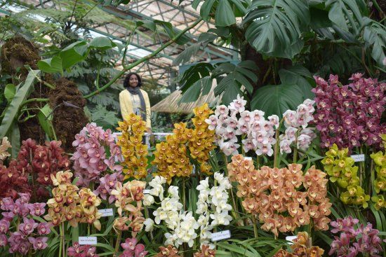 Flower Exhibition Centre